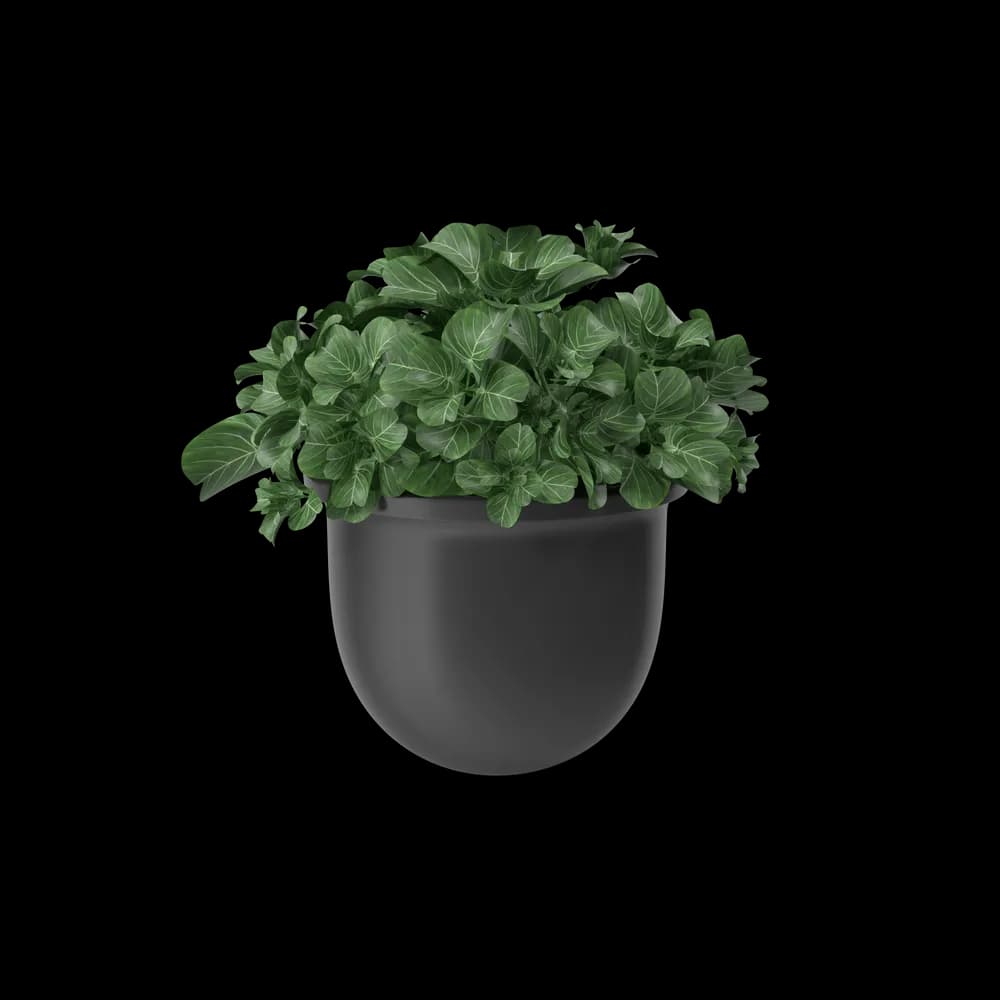 home-decoration